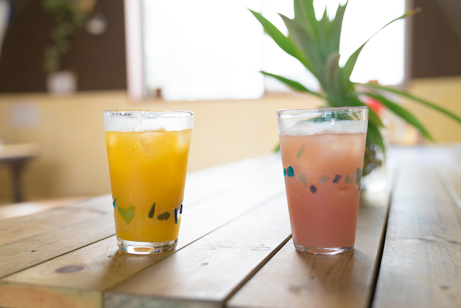 本格の上を行く沖縄そばの専門店『和(かず)』絶対食べるべし!!