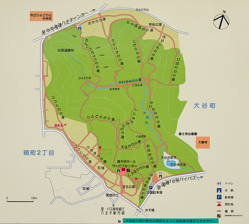 八王子のおすすめ初日の出スポット小宮公園!! 菜の花畑を見ながら御来光!!