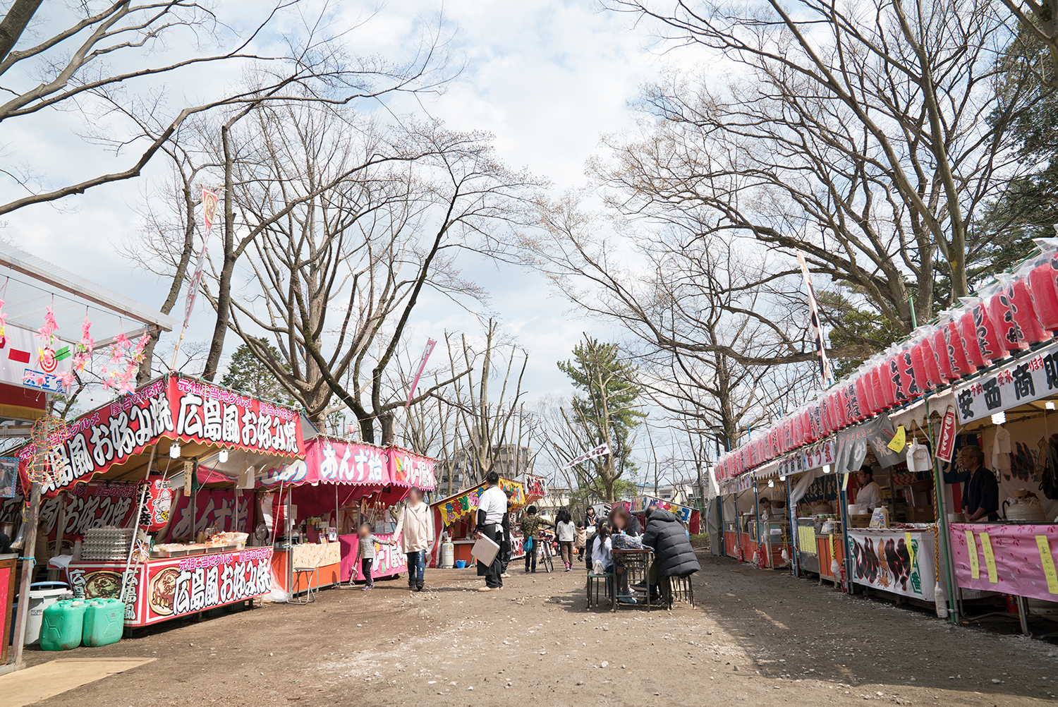 富士森公園の桜の現況報告 八王子ジャーニー