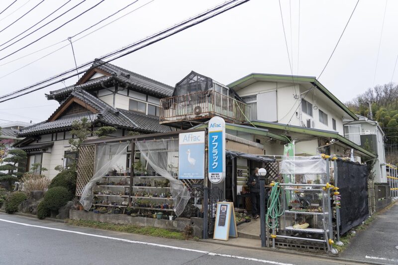 多肉植物や盆栽を作れちゃう 珍しい品揃えの 花工房 極 オープン 八王子ジャーニー