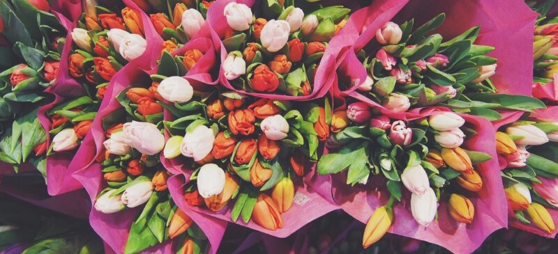 3ヵ月限定 10 3イーアス高尾にhanaki Flowerがオープン 八王子ジャーニー 3ヵ月限定 10 3イーアス高尾にhanaki Flowerがオープン 八王子ジャーニー